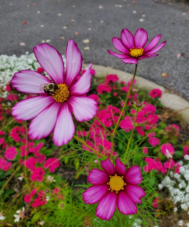 wp-16803162785892443008614908627582