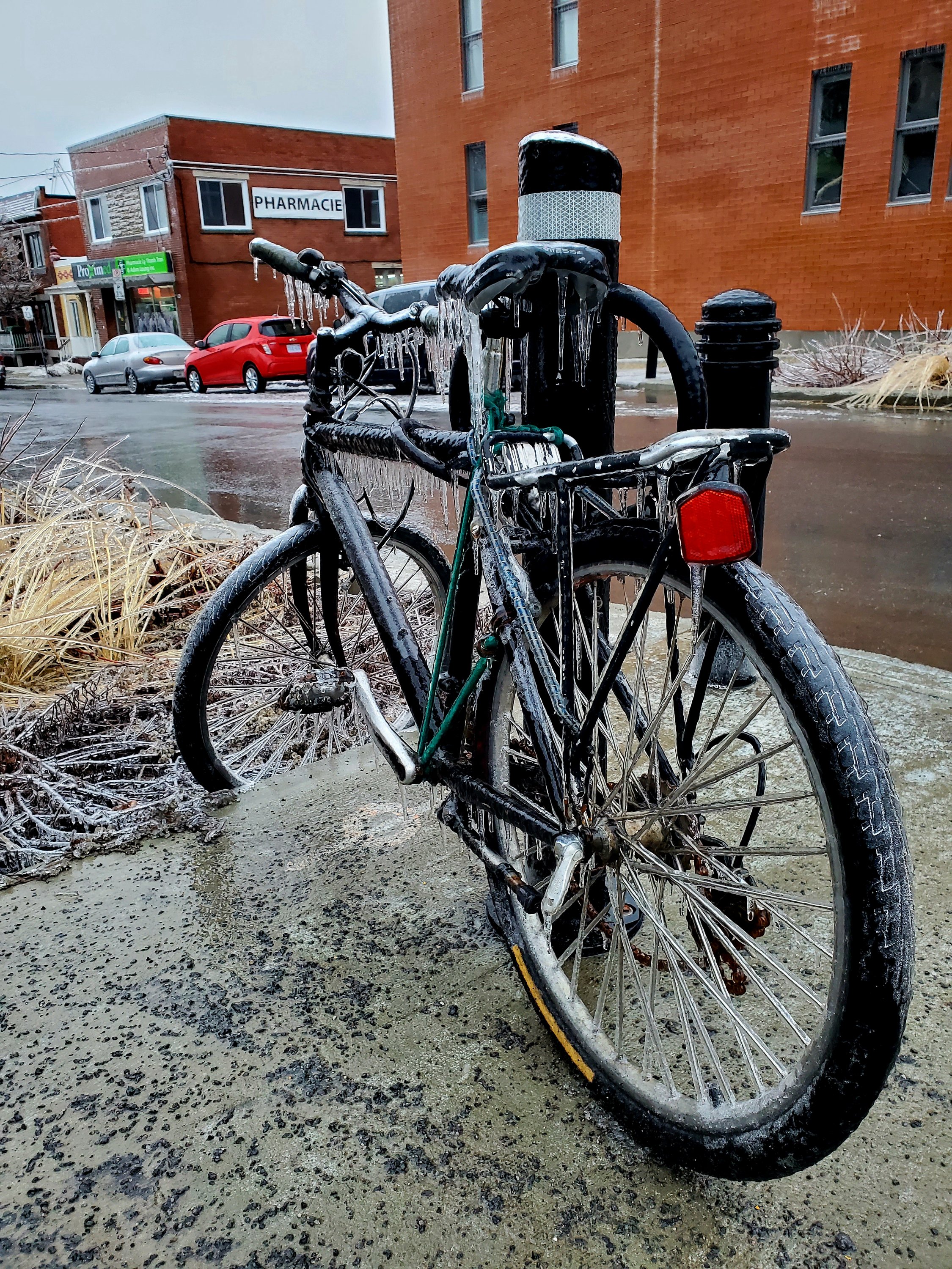 wp-16807392589251216555959115760304