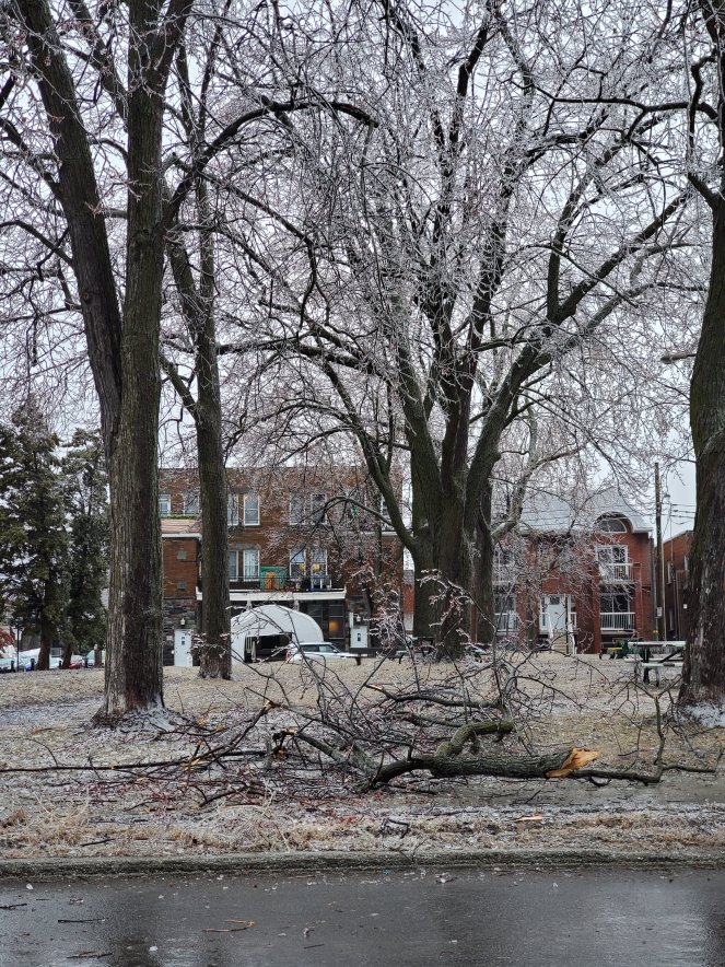 wp-16807476622416712508152742556487