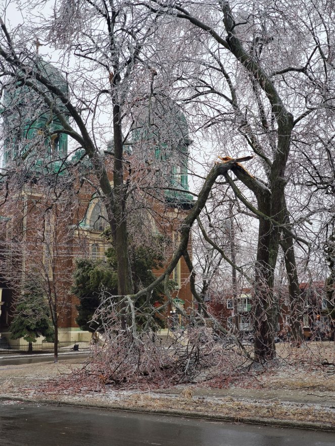 wp-1680747711638806517471684642112