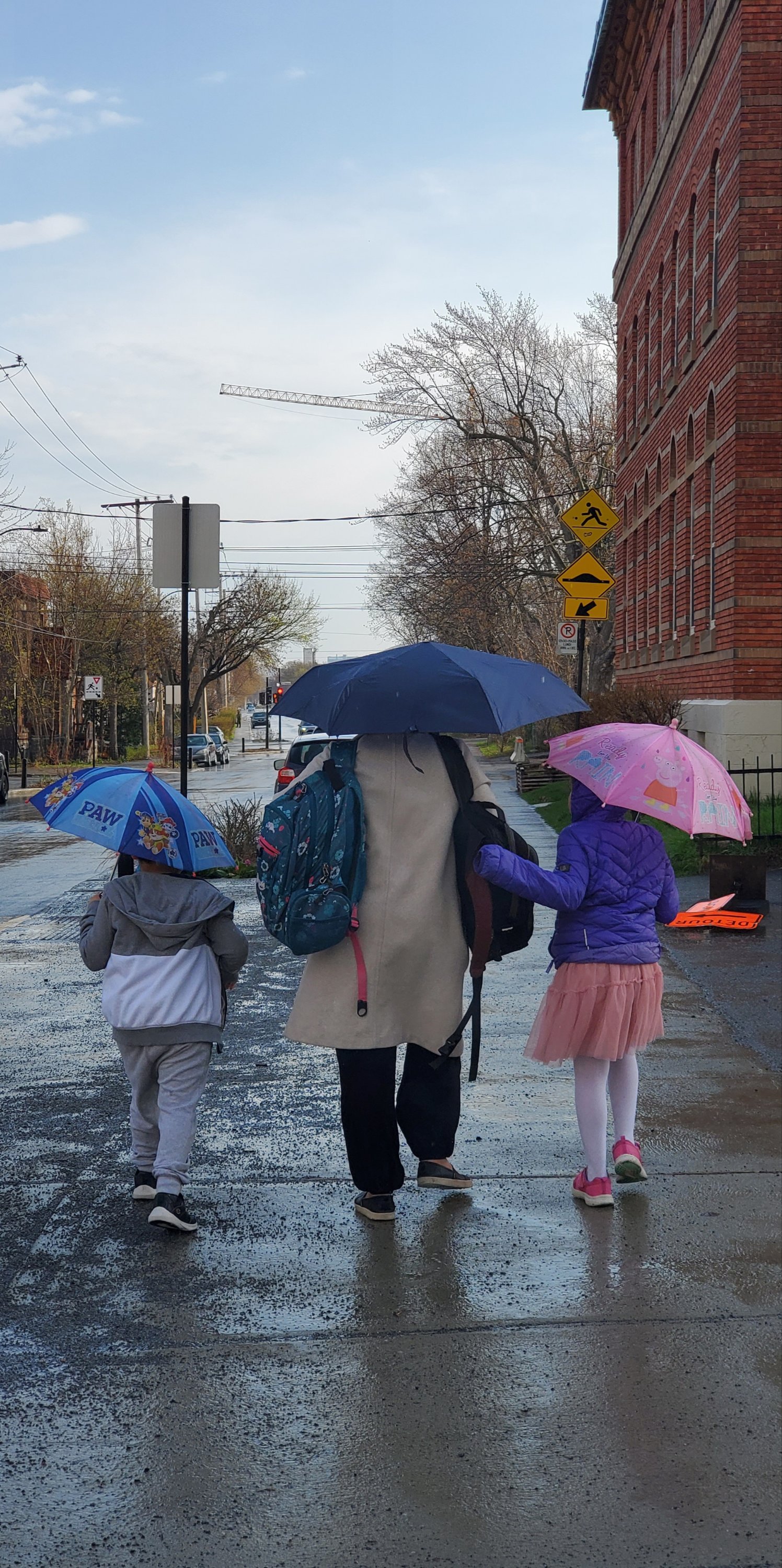 wp-16825553499676919020408582295955