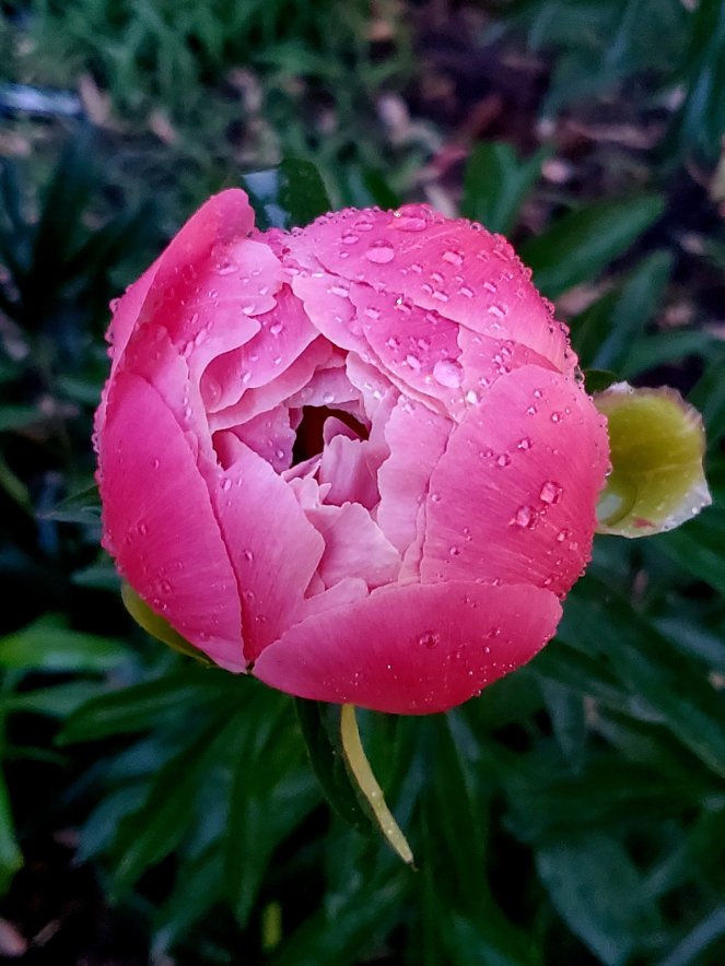 wp-1685930751064752616871636900293