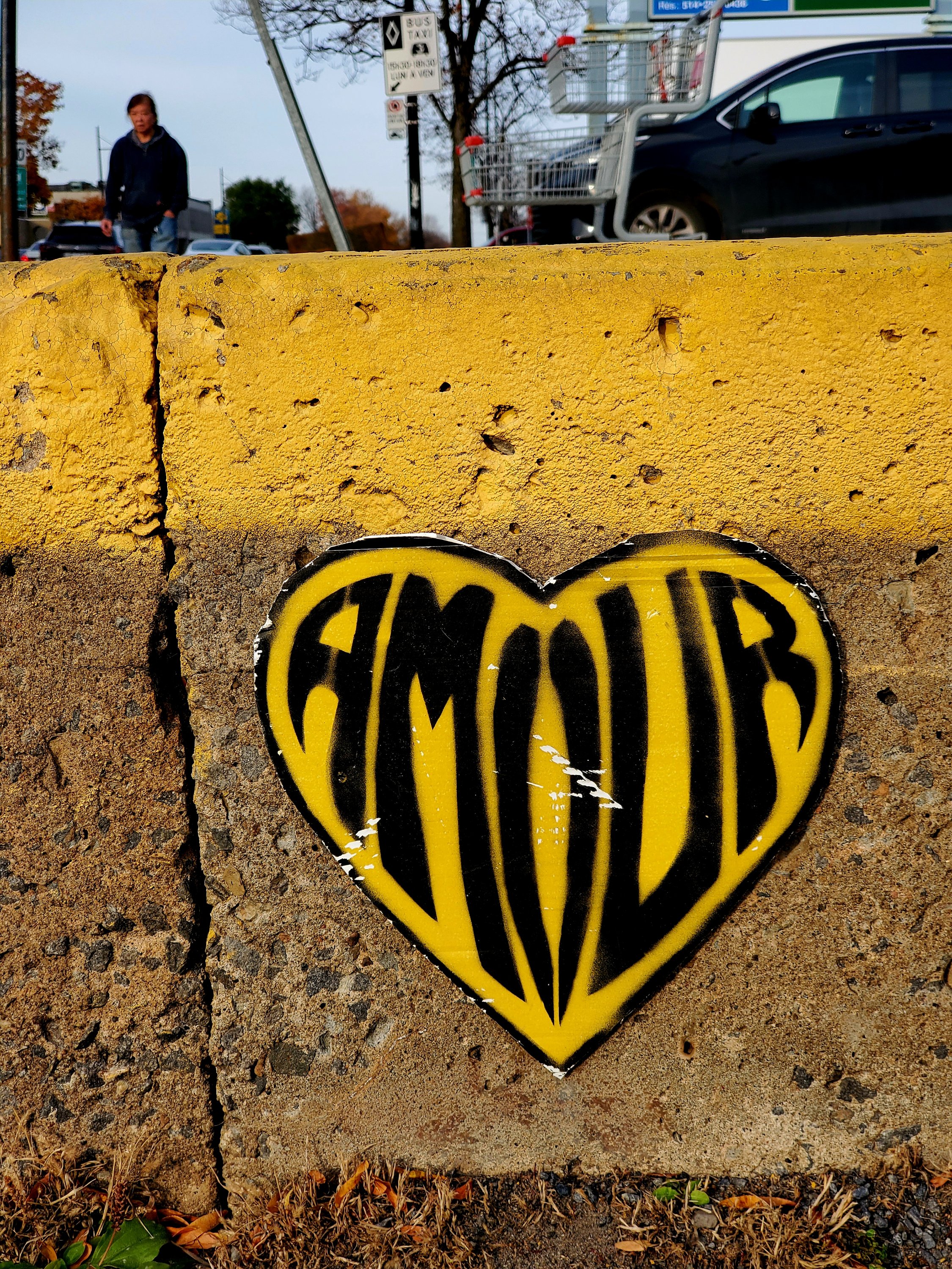 wp-16867060534185894759818613563899