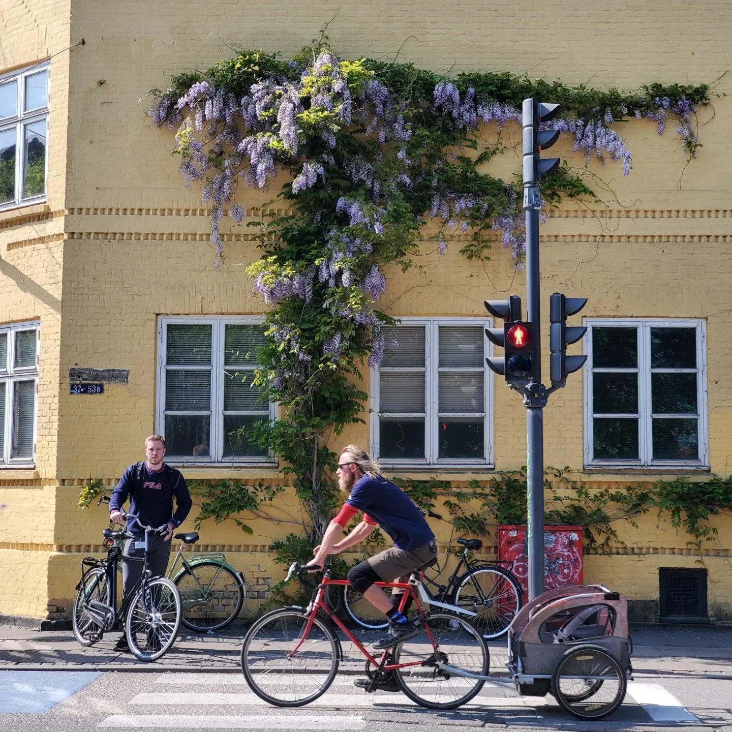 wp-16873981110176410091576838099447