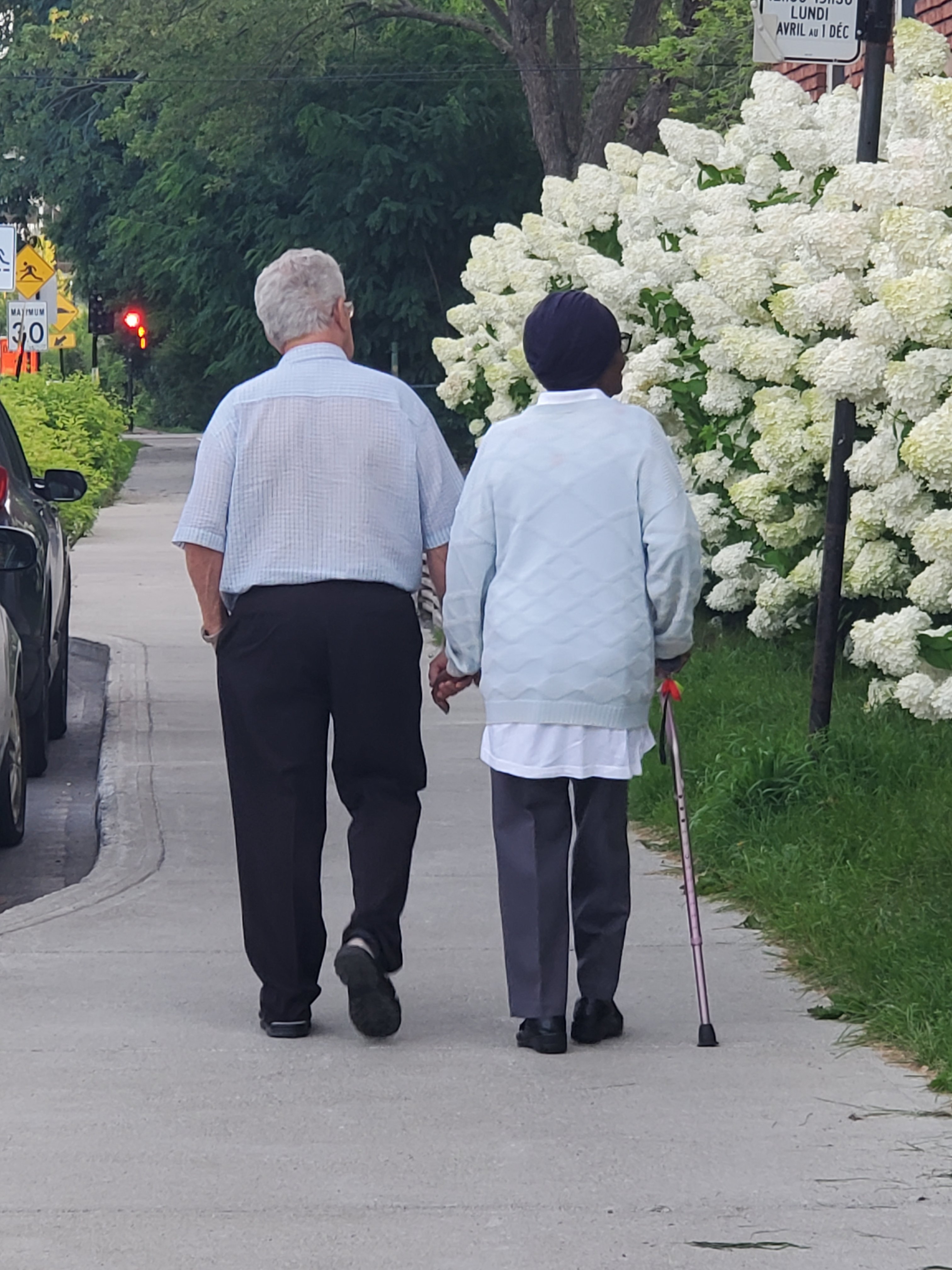 wp-16922351193485036617429670327698