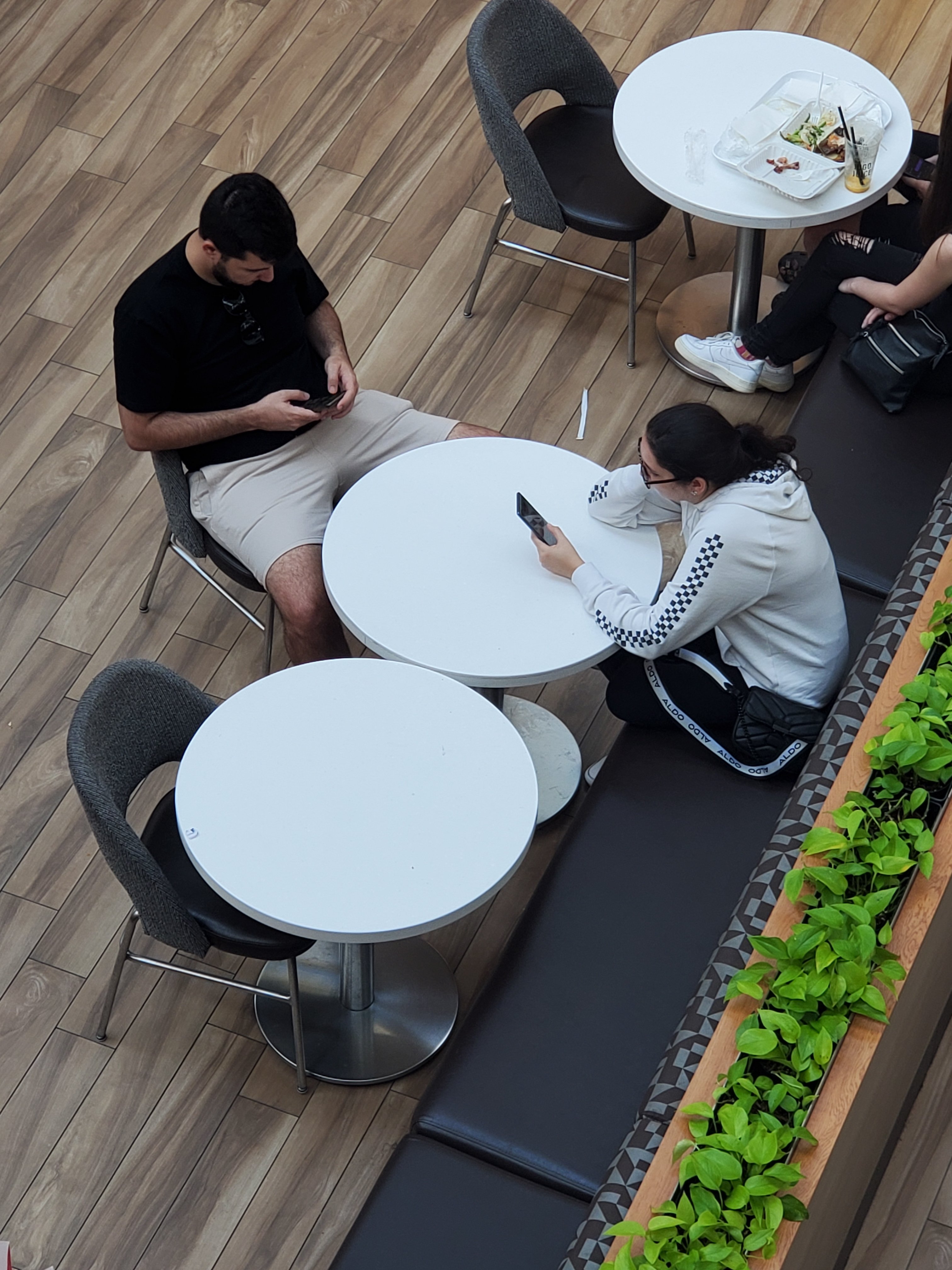 wp-16964717691488621655490866106151